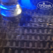 фото из отзыва ID 2726777