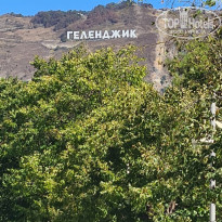 фото из отзыва ID 2726861