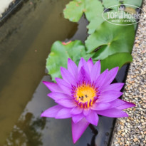 фото из отзыва ID 2726881