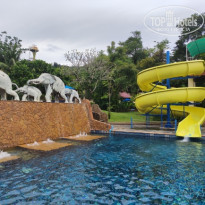 фото из отзыва ID 2726881