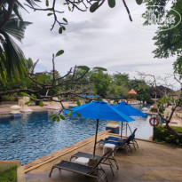 фото из отзыва ID 2726881