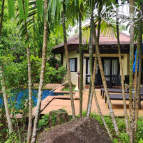 фото из отзыва ID 2726881