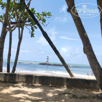 фото из отзыва ID 2726881