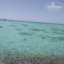 фото из отзыва ID 2726885