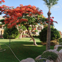 фото из отзыва ID 2726885