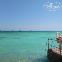 фото из отзыва ID 2726885