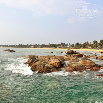 фото из отзыва ID 2726884