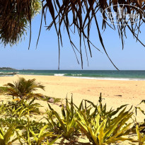 фото из отзыва ID 2726884