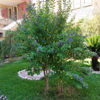 фото из отзыва ID 2726898