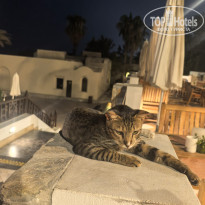 фото из отзыва ID 2726907