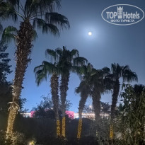 фото из отзыва ID 2726907