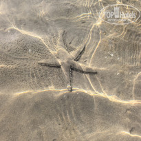 фото из отзыва ID 2726907