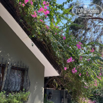 фото из отзыва ID 2726329