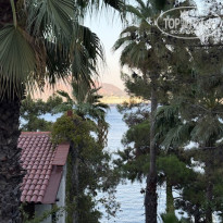 фото из отзыва ID 2726329