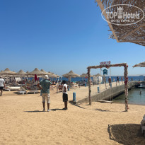 фото из отзыва ID 2726926