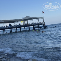 фото из отзыва ID 2726936