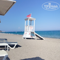 фото из отзыва ID 2726937