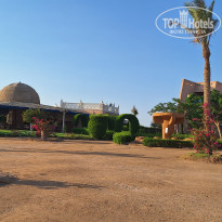 фото из отзыва ID 2725616