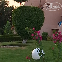 фото из отзыва ID 2725616