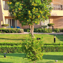 фото из отзыва ID 2725616