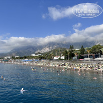 фото из отзыва ID 2726919