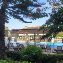 фото из отзыва ID 2726986