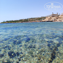 фото из отзыва ID 2726995