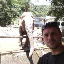 фото из отзыва ID 2727004