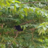 фото из отзыва ID 2727004