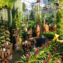 фото из отзыва ID 2727004