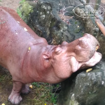 фото из отзыва ID 2727004