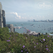 фото из отзыва ID 2727004