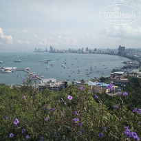 фото из отзыва ID 2727004