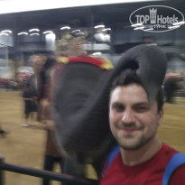 фото из отзыва ID 2727004