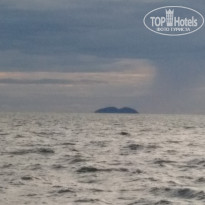 фото из отзыва ID 2727004