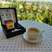 фото из отзыва ID 2727014