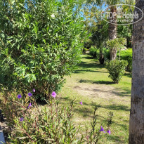 фото из отзыва ID 2727014