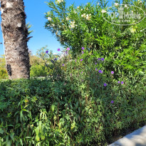 фото из отзыва ID 2727014