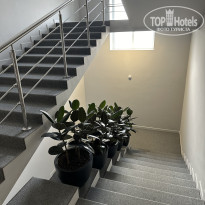 фото из отзыва ID 2727037