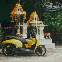 фото из отзыва ID 2726752