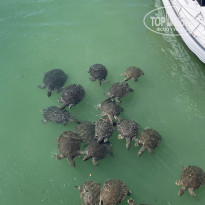 фото из отзыва ID 2727081