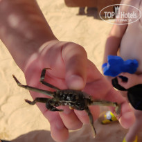 фото из отзыва ID 2727084