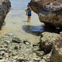 фото из отзыва ID 2727084