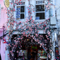 фото из отзыва ID 2726752