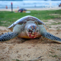 фото из отзыва ID 2726752