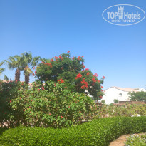 фото из отзыва ID 2727120