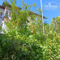 фото из отзыва ID 2726888