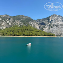 фото из отзыва ID 2726888