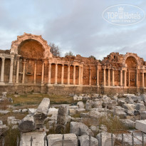 фото из отзыва ID 2726888