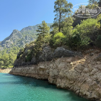 фото из отзыва ID 2726888